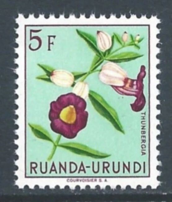 Ruanda-Urundi 1953 - 5 fr. Flora indígena (Thunbergia) - MNH Foto 1 de 1