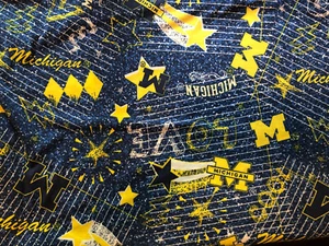 Tela de punto de camiseta de punto EZ hilada de la Universidad de Michigan de los Wolverines 1/2 yarda MCHG - Imagen 1 de 1