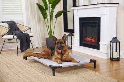 Coolaroo The Original Elevated Pet Bed Pro Standard Size  3 Colors Avaliable NIB - Image 1 of 4