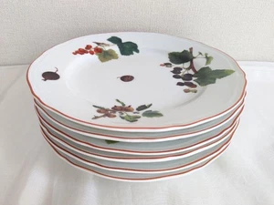 Richard Ginori Fruit and Nut Pattern Dinner Plates Set of 6 Excellent Japan - Picture 1 of 11