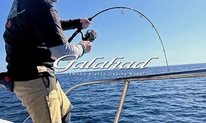 Yamaga Rod Baitcast Jigging Model Galahad Basic GA-62/2B (7270) - Picture 1 of 6