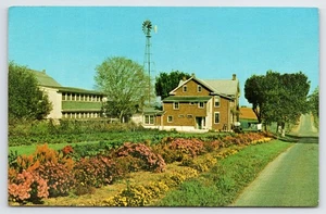 Windmühlen, Grüße aus Amish Country, alte Postkarte - Bild 1 von 2