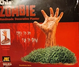 Chai Zobbi Handgefertigter Pflanzgefäß - Bild 1 von 3