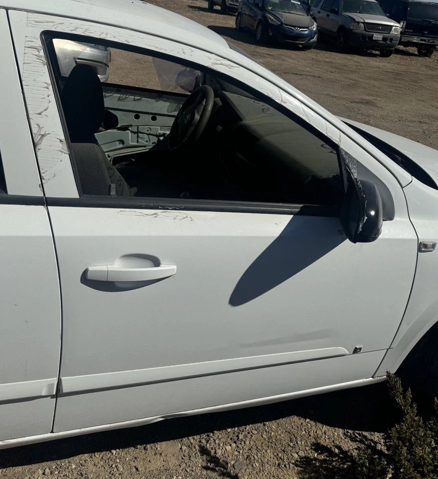 Estante de puerta delantera Saturn Astra 2008-2009 blanco lado derecho del pasajero carga OEM Foto 1 de 1