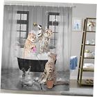 Funny Cat Shower Curtain, Fun Animal in Bathtub with Fish Fabric 69x70 Multi-4