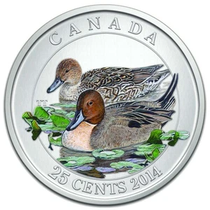 2014 25c Ducks of Canada: Pintail Duck - Coloured Coin - Picture 1 of 4