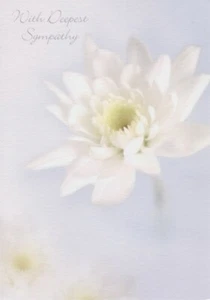 Weiße Blume SYMPATHIEKARTE MIT Bibeltext - Johannes 14,2 - EB8095 - Bild 1 von 1