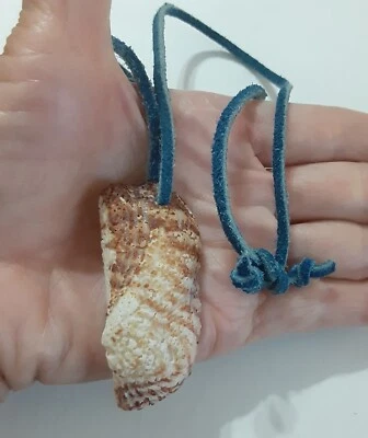 Collar colgante Sea Shell 2*18 cordón de gamuza azul Foto 1 de 4