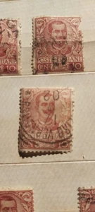 1901 - NR.13 FRANCOBOLLI INVIATI - SERIE FLOREALE VITTORIO E. III - 10 CENTESIMI - Picture 1 of 6