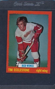 1973/74 Topps #124 Tim Ecclestone Red Wings NM *976 - Picture 1 of 1
