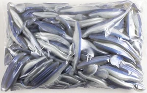 ZOOM SWIMMIN' SUPER FLUKE JR 100 PACK BULK 4" 117-091 ALBINO B2421 - Picture 1 of 3