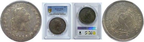 1795 Bust Dollar PCGS XF-45 Flowing Hair. 3 Leaves Cover