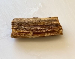 Arizona Petrified Wood Lapidary AZ Fossil Collection Display Jewelry Lot KK - Picture 1 of 4