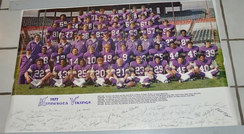 Large Original 1977 Minnesota Vikings Football Team Poster 35" by 22 1/2" Cover