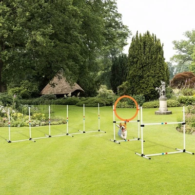 Outdoor 3 Piece Dog Pet Agility Training Equipment Backyard Starter Course Set - Image 1 of 4