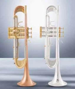 TR-600GS New Arrival Bb Trumpet High Quality Gold Lacquer Silver Plated - Bild 1 von 16
