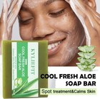 KYLIEFIT Cool Fresh Aloe Soap Bar Black Spots Treatment Skin Care