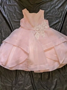 Janie And Jack Kleid 18-24 Monate besondere Anlässe rosa Organza Blume - Bild 1 von 22
