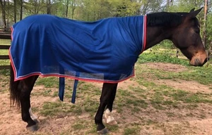 Paddock Sport Custom High Neck Mesh Horse Cooler - Royal Blue - Picture 1 of 5