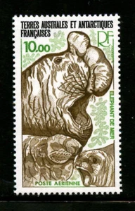 FSAT C54, 1979 ELEPHANT SEALS, MNH (FSAT3649K) - Picture 1 of 1