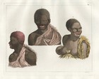 Tasmanien Tasmania costumes Trachten Aquatinta Radierung Ferrario 1820