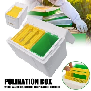 Box Bee Mating Box Queen Bee Breeding Box Foam Bee Hive Box Bee Breeding Case - Photo 1/11