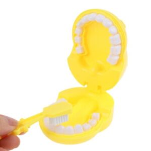 Toys Role-playing Games Set Check Teeth Model Set Kids Pretend Play Dentist