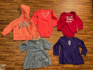 Lot of 5 pcs Kids Girls Size 18-24M: 1 pcs Hoodie, 2 pcs Dresses, 2 pcs Bodysuit - Picture 1 of 8