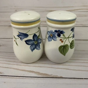 Vintage Salz & Pfefferstreuer blau Blumen gelb blau gestreift - Bild 1 von 6