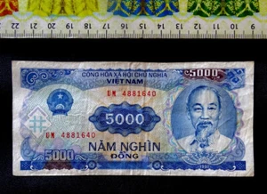 Vietnam Banknote, 5000 Dong , Year : 1991. (119) - Picture 1 of 3