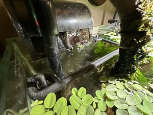 Hang On Back HOB Filter Guard Floating Plant Barrier / Corral (Fits: APS 500L/H) - Picture 1 of 4