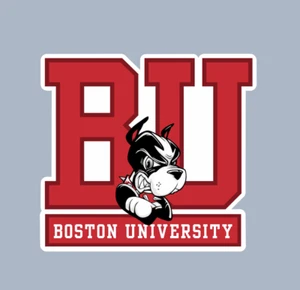 Imán de coche - Boston University Terriers - fútbol americano universitario de la NCAA - IMÁN - Imagen 1 de 1