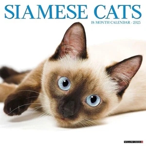 , Calendario da parete 2025 gatti siamesi - Foto 1 di 4