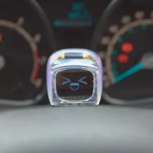 Flashball Dasai Bosozoku Mochi JDM - Edizione limitata - Spedizione veloce! ️ - Foto 1 di 10
