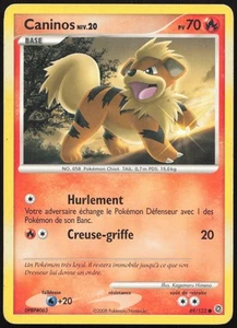 Carte Pokémon Caninos 89/132 Merveilles Secrètes Français - Imagen 1 de 2