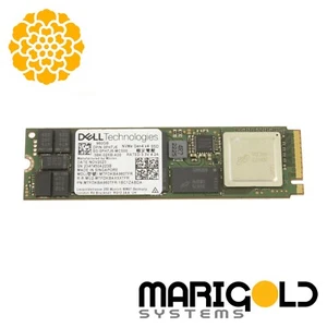 Dell 960GB M.2 G3 NVMe Gen4 x4 SSD BOSS TARJETA PH7J6 0PH7J6 - Imagen 1 de 1