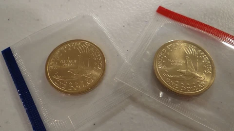 2005 P&D Sacagawea Dollar 2-Coin Set (In Mint Cello/Plastic) BU Satin Finish Cover