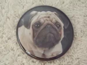 Cara de perro PUG ~ Pin de botón Pinback (C70) - Imagen 1 de 1