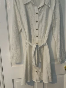 Beautiful White Zara Broderie Anglais Dress Size Large - Picture 1 of 4