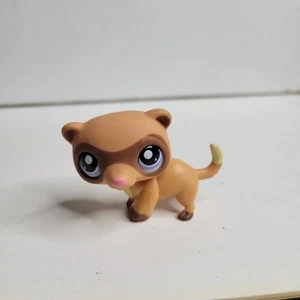 Littlest Pet Shop LPS furetto bandito mascherato # 1612 Hasbro viola rosa occhi a pois - Foto 1 di 4