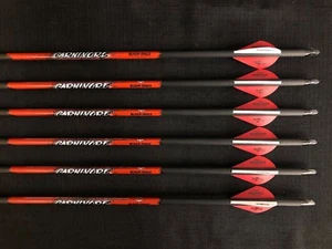 Black Eagle Carnivore 350 .003 Fletched Arrows 1/2 Dozen (6 Arrows) BRAND NEW - Picture 1 of 4