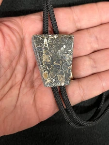 Turritella Agate Western Bolo Tie - Picture 1 of 2