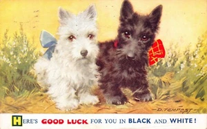BAMFORTH VIEL GLÜCK COMIC POSTKARTE NR. G137 HUND GEBRAUCHT GUT PLUS - Bild 1 von 2
