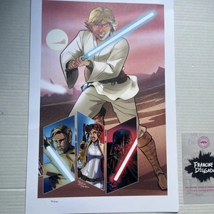 12 x 18 Print Limited Edition Star Wars Legacy Skywalker / Certificate Of Authentic - Bild 1 von 9