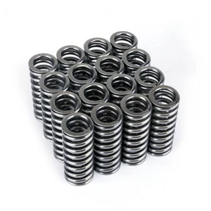Skunk2 Racing 311-05-1345 Alpha Series Valve Spring Set - Bild 1 von 6