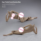 1/6 Super Flexible Sonnenbraun/Blasse Große Büste Nahtlos Buchse Figur Körper Modell Spielzeug
