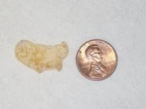 USA Shape Flake: Honey Bunches Of Oats Near Perfect Corn Flake Food Collectable - Picture 1 of 3