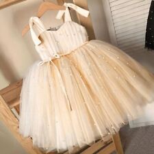 Girl Tulle Dress Princess Party Fluffy Dress Flower Wedding Champagne Gown
