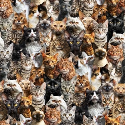 Tela de diseño empaquetada realista para fiesta de gatos 32" por 43" remanente 100 % algodón Foto 1 de 3