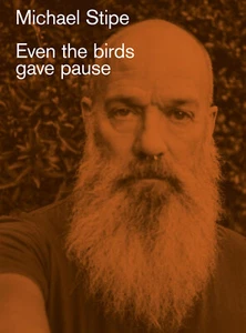 Michael Stipe EVEN THE BIRDS GAVE PAUSE (Copertina rigida) - NUOVO (sigillato) - Foto 1 di 1